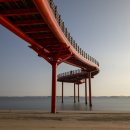 빨간다리 이미지