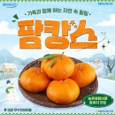 여행천하㈜ | NH이벤트 농협은행 농촌체험여행 팜캉스 12월체험 레드향체험 / 신청중
