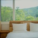 프라이빗제이 네이버블로그