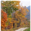 부흥농장 이미지