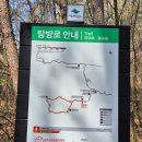 장내앞천 | 경북 문경 대야산 등산코스 후기 | 피아골·밀재 코스 난이도, 소요시간, 블랙야크 100대명산