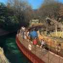 에버랜드 이미지