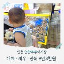 연안부두로 | 인천 연안부두어시장 대게·새우·전복 포장 후기｜인어교주해적단 어촌에서 9만3천원