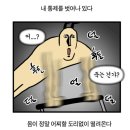 포레스트필라테스 | 대전필라테스 | '포레스트 필라테스' 괴정점 후기