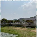 행복한댕댕이 이미지