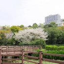 걸매생태공원 이미지