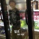 진아양꼬치