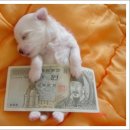 만원에행복 이미지