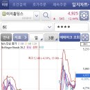 돌고래홀딩스 이미지