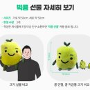 빅콩 이미지