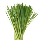 레몬그라스 이미지