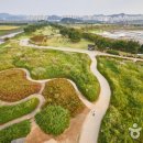 갯골생태공원 이미지