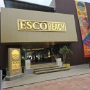 펍 my my | 다낭 에스코비치 펍 미케비치술집 위치 추천 메뉴 후기