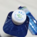 고로쇠농산물 | 고로쇠물 백운산 고로쇠 수액 직접 마셔본 후기