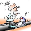 나비의꿈-호접지몽 이미지