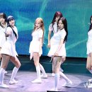 솔티 이미지