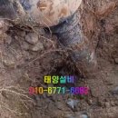 태양설비 네이버블로그