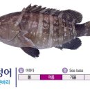 용꿈횟집