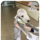 경희궁바른동물병원 이미지