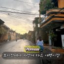 새벽시장 | 호이안 새벽시장 후기 호이안 자전거 코스 추천 마담콴