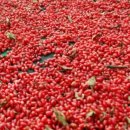 산수유한약국 이미지