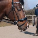 현풍초등학교 이미지