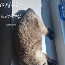 일진고물상