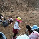 꽃무지어린이집 이미지