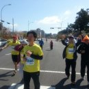 세명메디칼 이미지