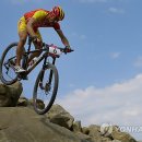 Antonio`s Farm 이미지