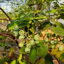 명원농장 이미지