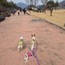 운악식당 | (포천여행)애견동반 하루 코스로 딱 좋은 포천 힐링 여행 루트 (비둘기낭폭포·산정호수)