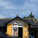 유성횟집;너울카페 | 중앙시장, 체스터톤스 호텔, 너울주막, 고성 카페 태시트, 양양 낙산사, 신해불이 횟집, 금이야옥이야...