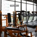 포유 피티 스튜디오(4U P.T STUDIO) | 부평시장역PT 포유피티 스튜디오 , 1:1 식단 운동 관리 시스템