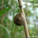 상동농장 이미지