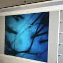 닥터포헤어 대구죽전점 두피탈모센터 | 대구 죽전네거리 헤드스파 후기｜두피가 진짜 가벼워진 닥터포헤어 두피관리 리얼후기