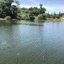 영인 낚시터 이미지