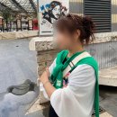 자전거나라 | 이탈리아 로마 여행 바티칸 투어 유로자전거나라 내돈내산 후기