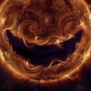 태양의 미소 이미지