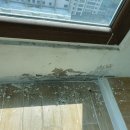 라인청과부식 | [부산탄성코트시공] 해운대 우동 우신골든메르시아 탄성코트 시공후기