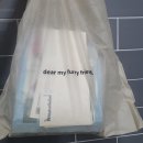 미니도그 이미지