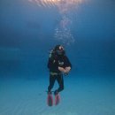 동해시 평생교육센터 | 머메이드다이빙 펀펀다이브 클럽 후기