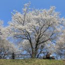 갈산공원 테니스장 이미지