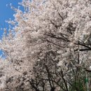 노원교길 이미지