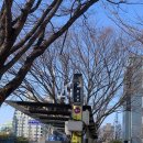 지하철역사 (정부청사역) | 260321 데이식스 대전 콘서트<The DECADE> (가는 법, 시야, 마데워치 연동)