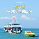 올인원투어 | 🐠 아무 생각 없이 다녀온 하루푸꾸옥 올인원 호핑투어 메종지오 솔직 후기