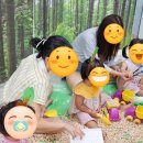 자연에서온 편지 이미지