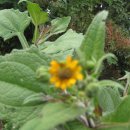 놀부농장 이미지