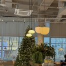 루드베키아 | 흑백요리사 이준 셰프 광화문 브런치 맛집 <루드베키아> 내돈내산 후기