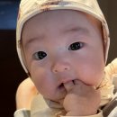 CU산타마리아점 | 인스파이어 리조트 5개월 아기랑 호캉스 수영장 객실후기